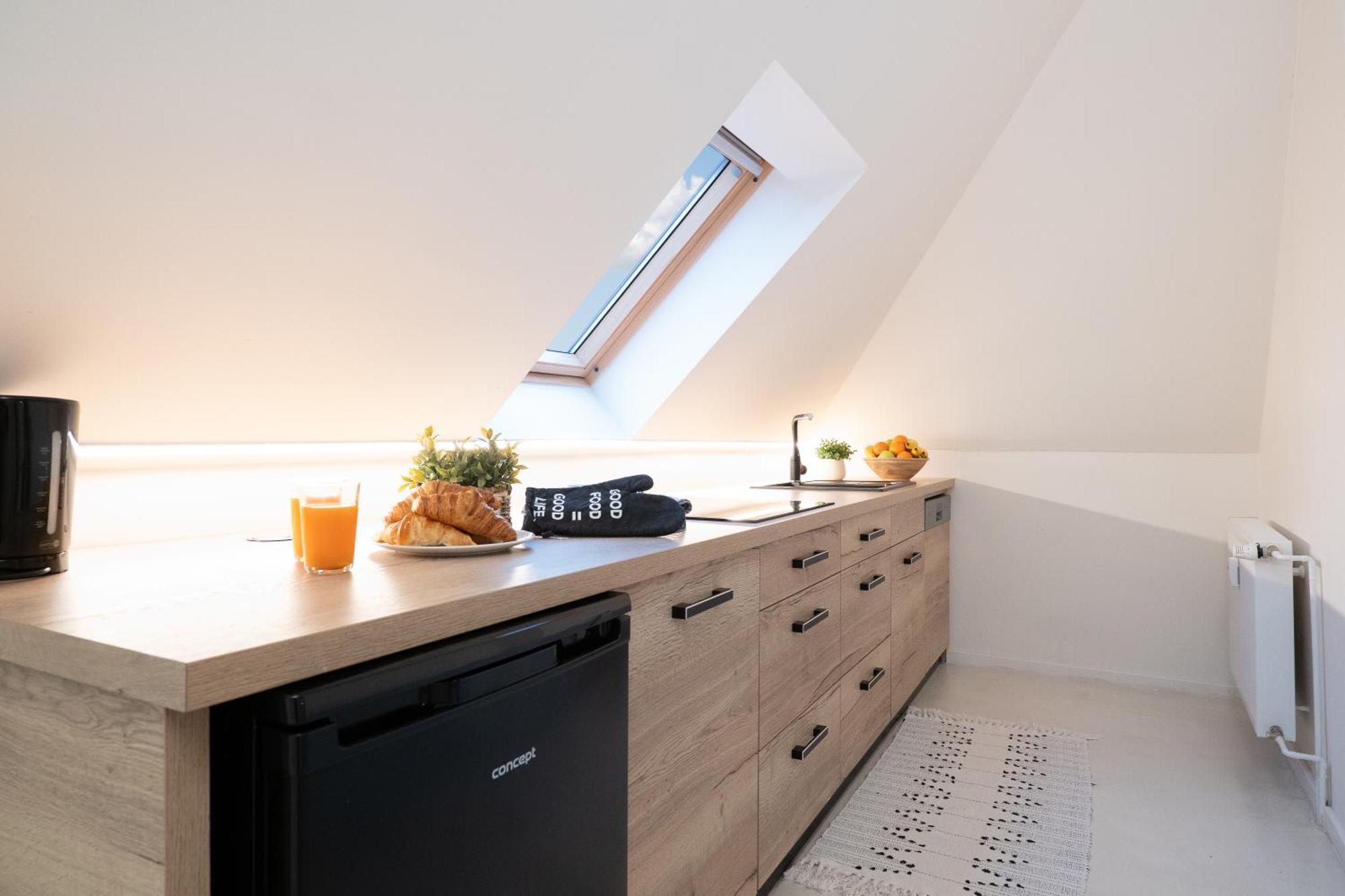 Apartamento U Zlate Hvezdy, Karel IV Litoměřice Exterior foto